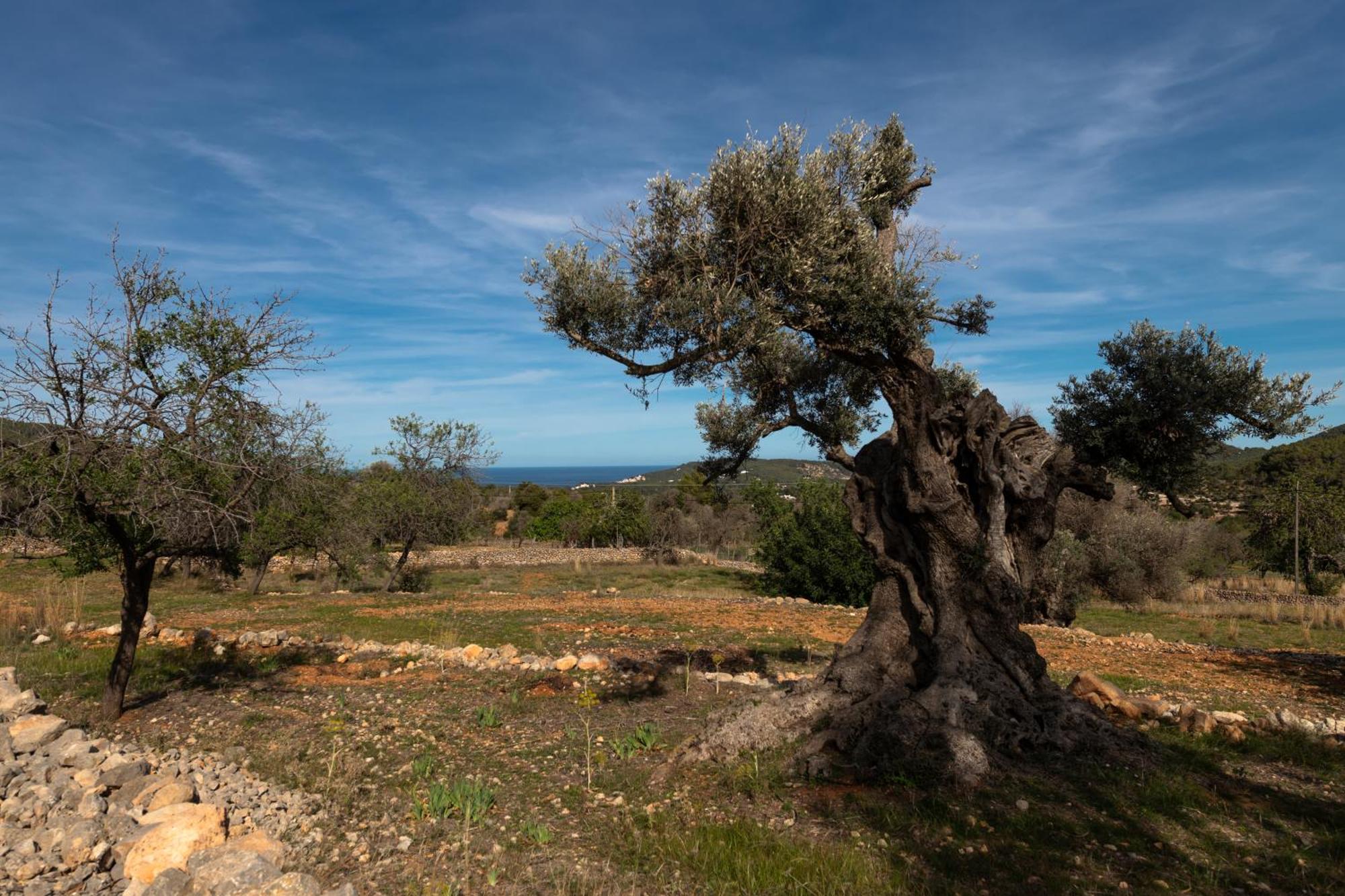Rural Prats Santa Eulària des Riu